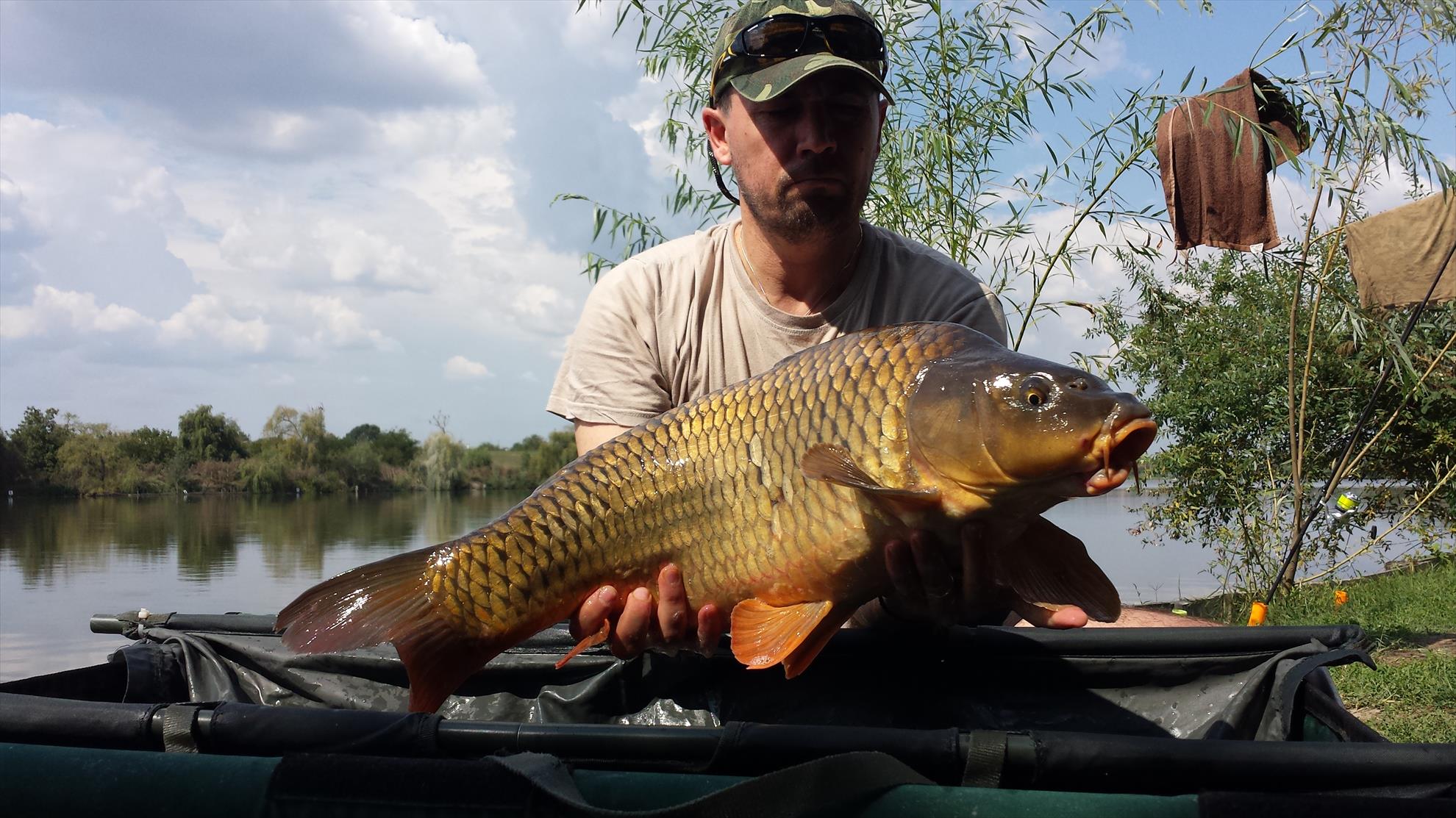 Hermes Peris 2 - 4 septembrie 2016 - 20160903141314.jpg